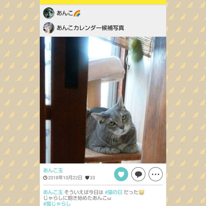 Ce2c065b b8e7 46f8 8479 c04e490bacb6 1729591491455