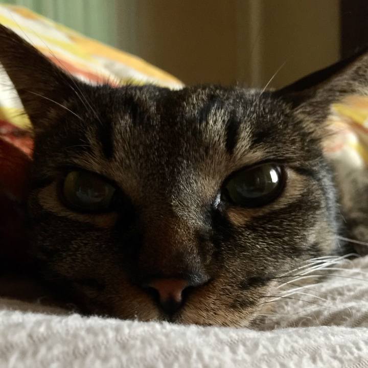 Ce2c47b6 8411 4382 bd12 4683a9135d10 1526172075724