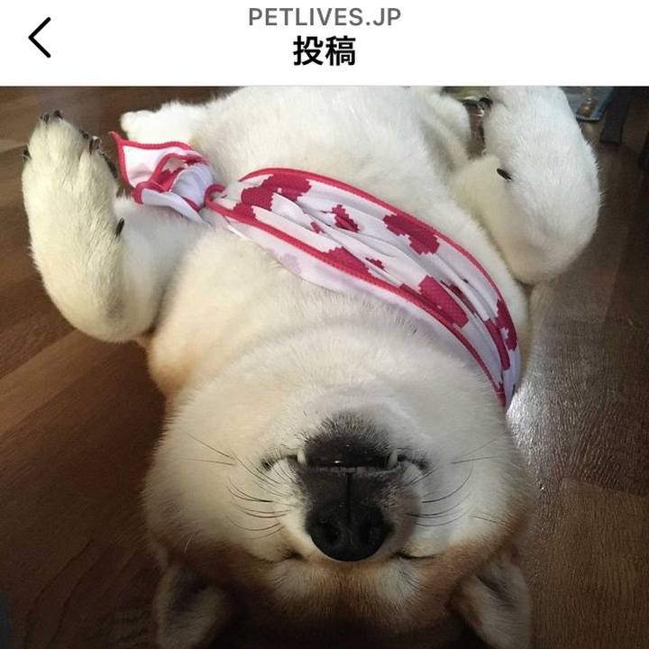 Ce2c4948 809b 449e b84f a270f34c8c61 1627652819466