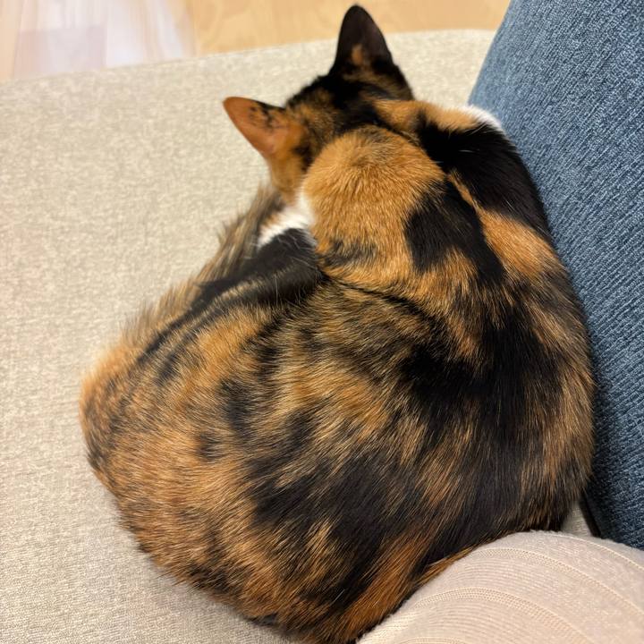 Ce2c5cc1 1fcd 406c 919e c1bdaf361166 1768560898252