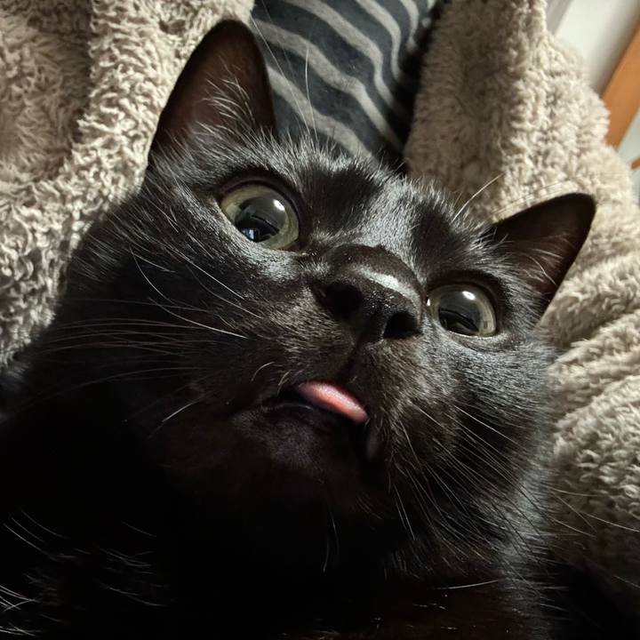 Ce2c60fb e3ed 4537 a8b2 fb7f7cb4e4df 1713177577671