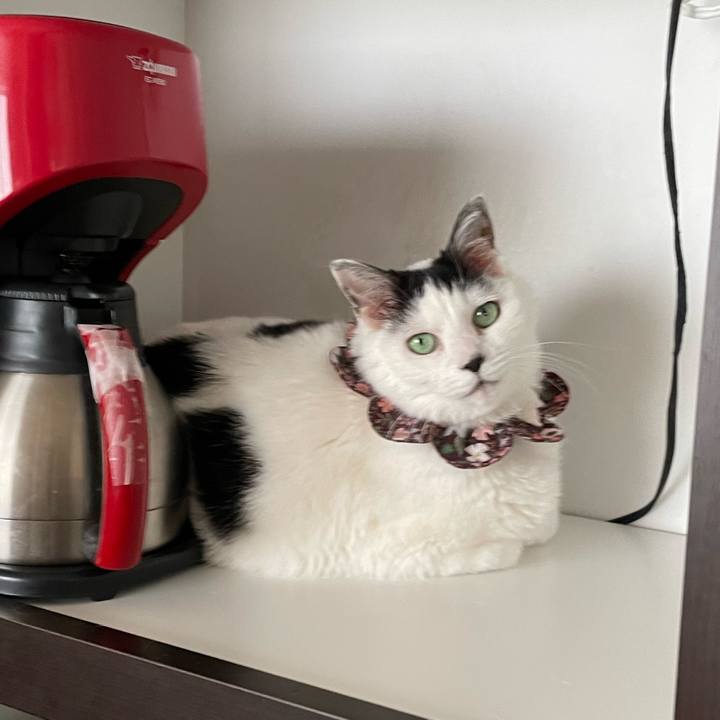 Ce2c6911 7b7f 474a 8a3c fa8f9e426e29 1682829423547