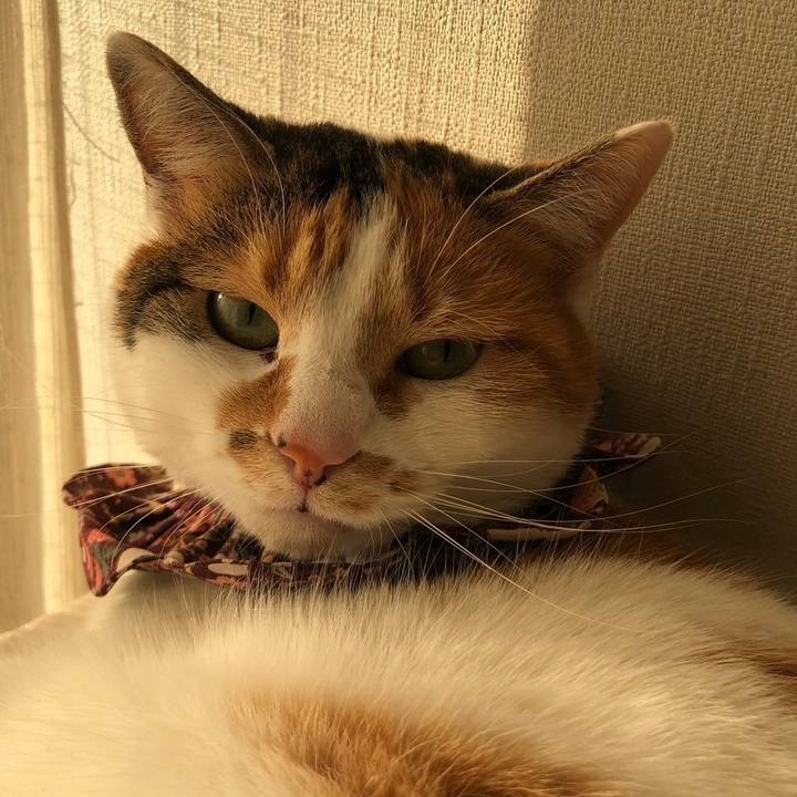 Ce2c946b 866a 4d5d b21b eedac812d683 1739392094187