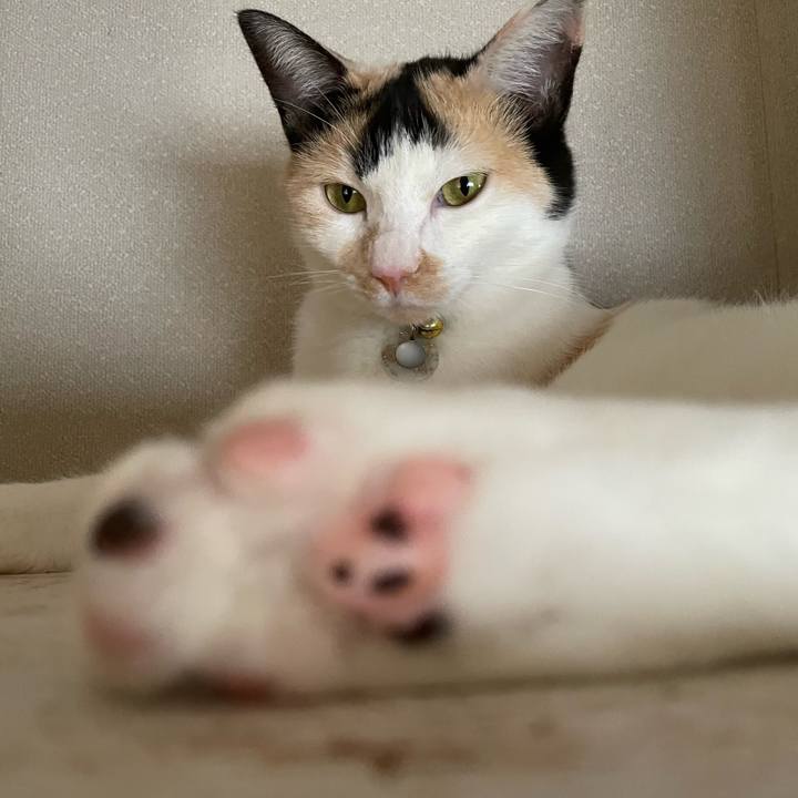 Ce2ccb2e 5608 420d 9097 5fe3342221f2 1688354535823