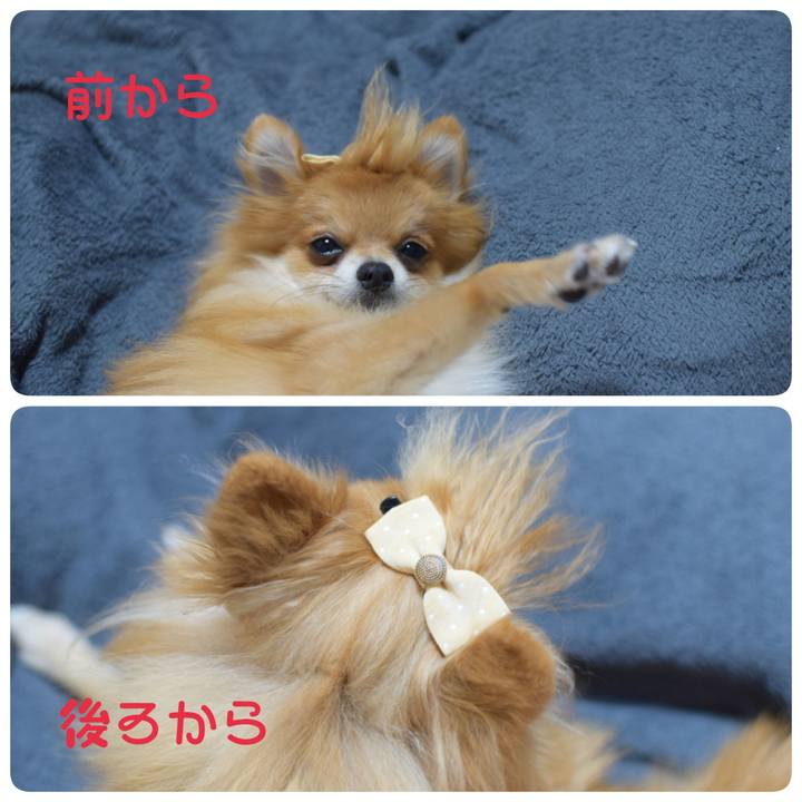 Ce2d2d7c db44 4549 8cc1 26371c698d9b 1539780023751