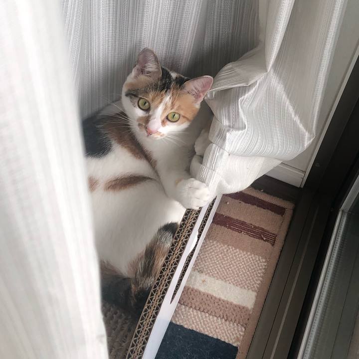 Ce2d2d81 3422 4ea6 85c5 cfbf83ea84ed 1599895407275