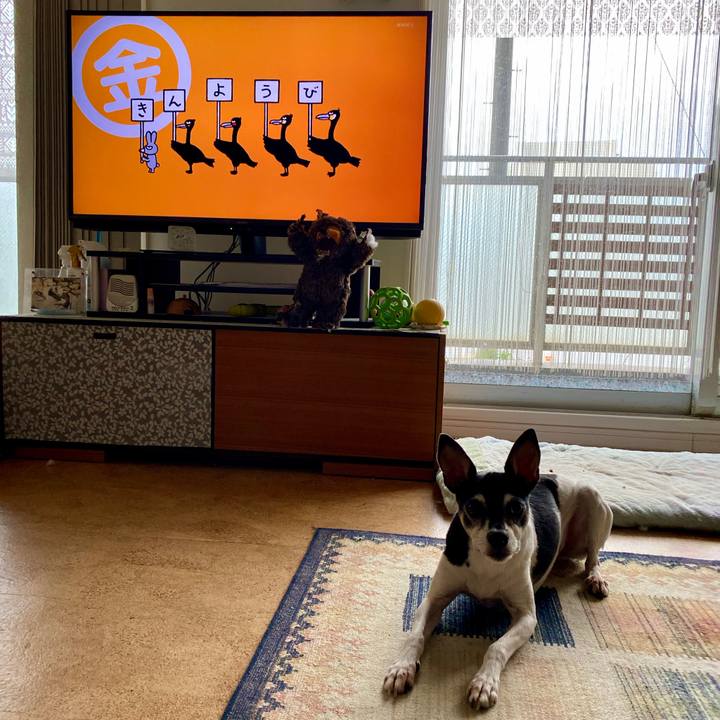 Ce2d5b4b b0cf 4949 acc6 9b9a0c2758e5 1599171057951