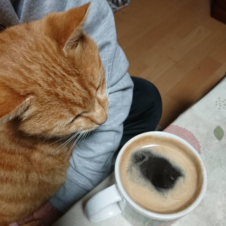 Ce2d6396 598e 4eb3 8b5a 7170f2c9e993 1605123128334