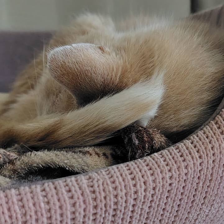 Ce2d7153 249b 4a6a be80 03fe7b3cf818 1772106333793