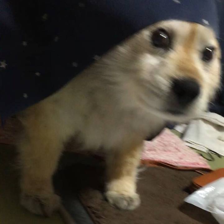 Ce2d9ace 7e10 40a0 9533 c4127588dca4 1583091947786