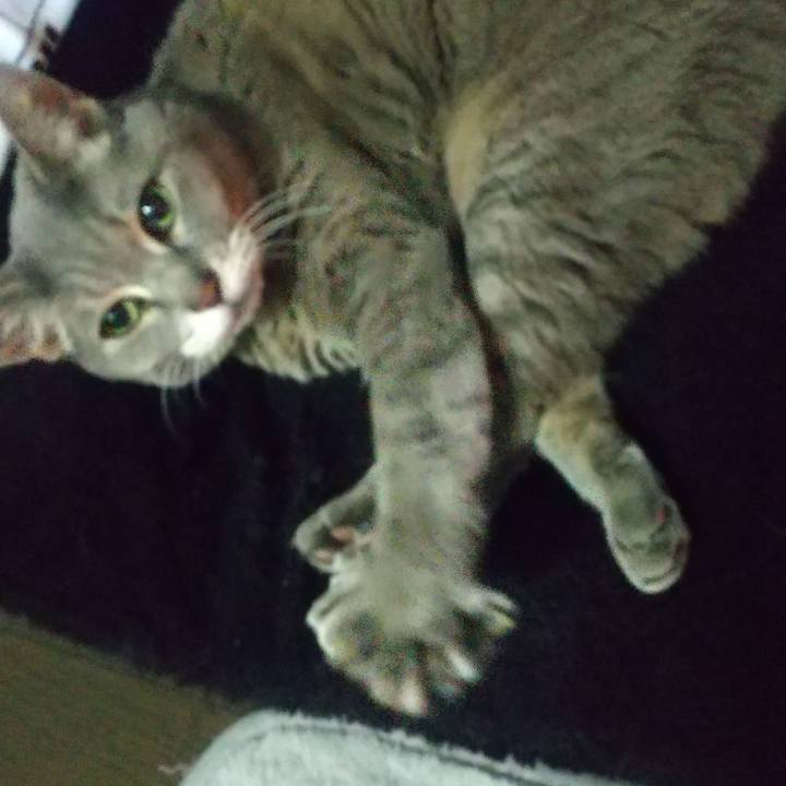 Ce2d9bc0 40b9 41a2 9826 b6c7bba789bb 1647579985172