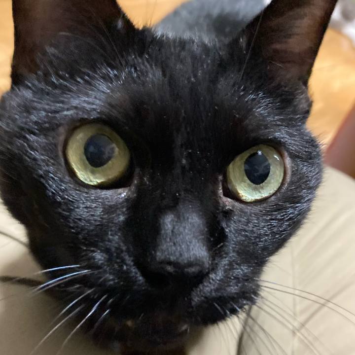 Ce2dbdb9 60fa 4103 9cc7 d4e420706ae5 1755669893291