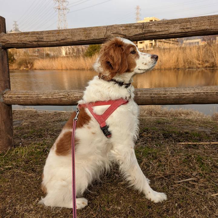 Ce2e0b72 192c 4aeb b680 e91bad7b6efe 1643792968997