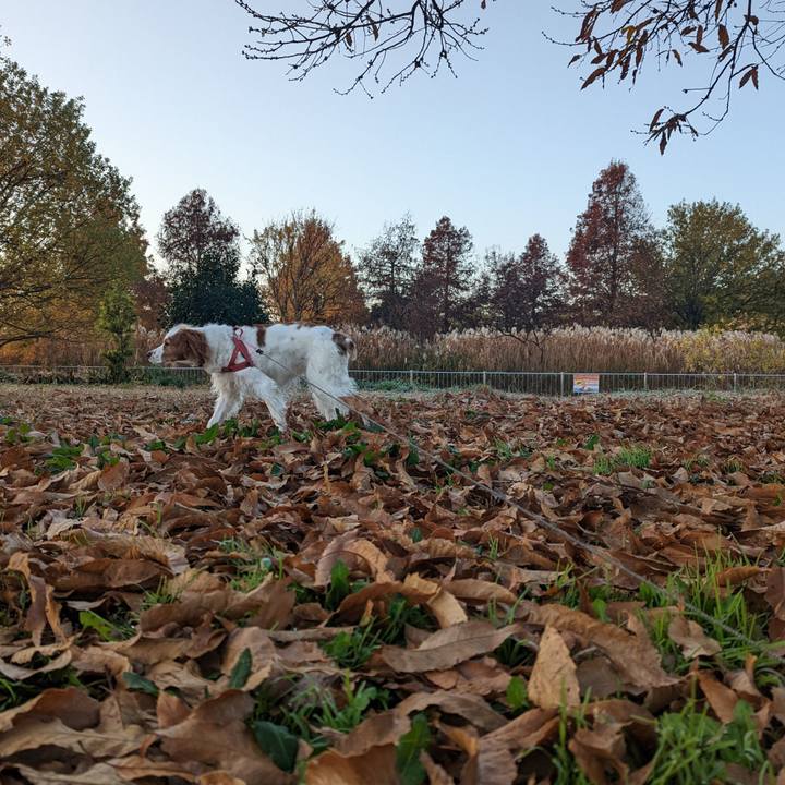 Ce2e1f44 72c4 4113 8f41 dec65065b9f2 1670546693341