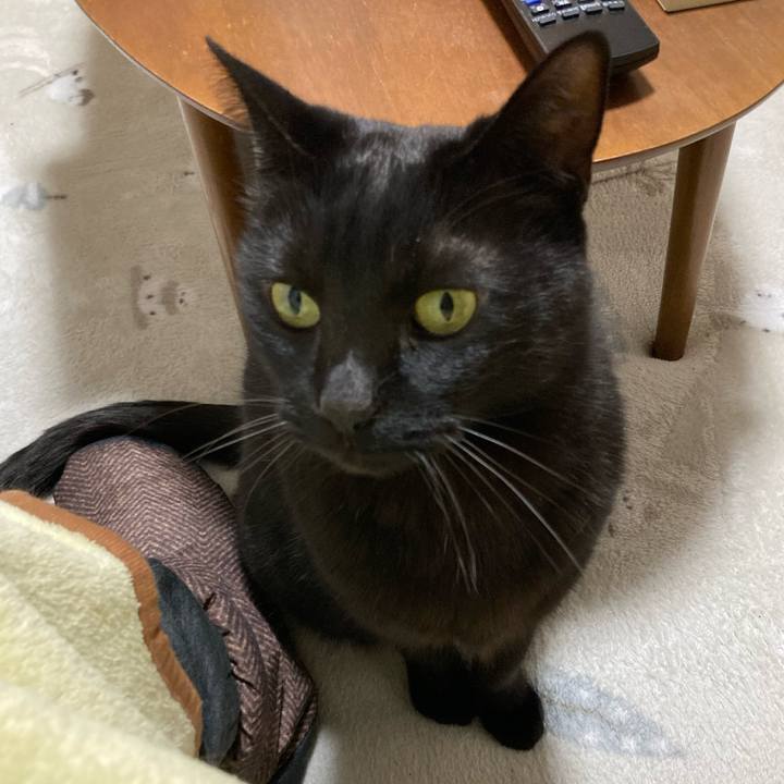 Ce2e473b 13f4 4a1e b418 f5e07e2aa289 1776090925484