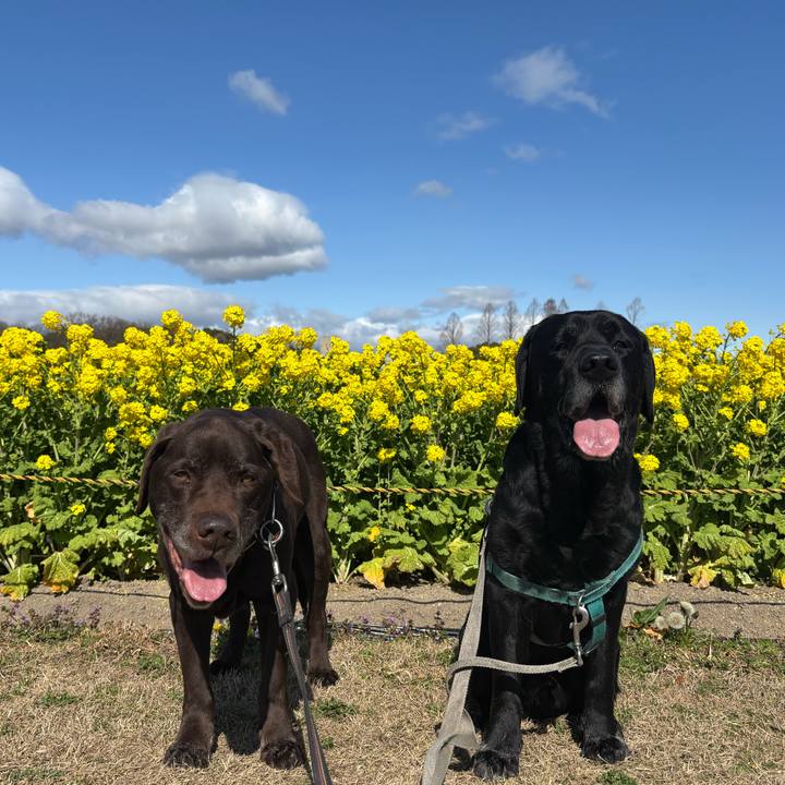 Ce2e4a28 5f33 48d4 baaf ca31bb1e3f2e 1772283735719