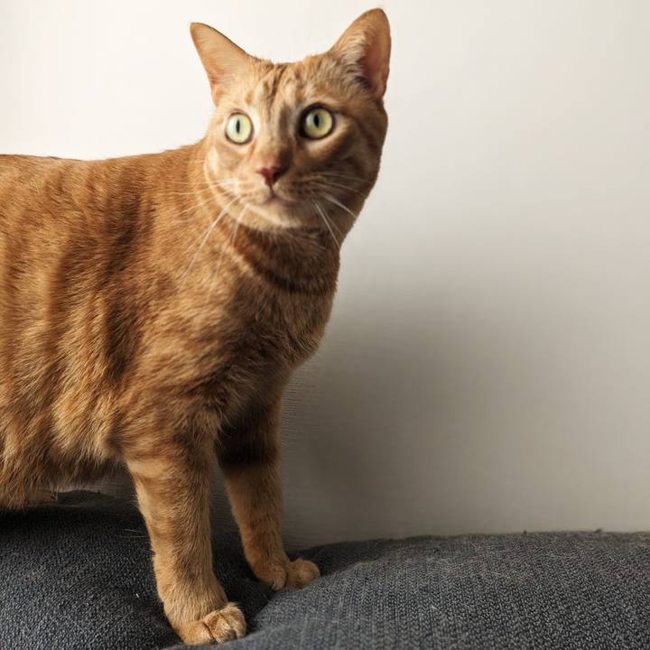 Ce2e64a7 4ea3 4008 98d8 49204b5a5b35 1710160586306