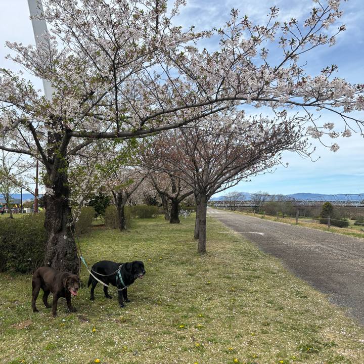 Ce2e8830 7e21 4730 9706 bf9e751f54f3 1775567288792