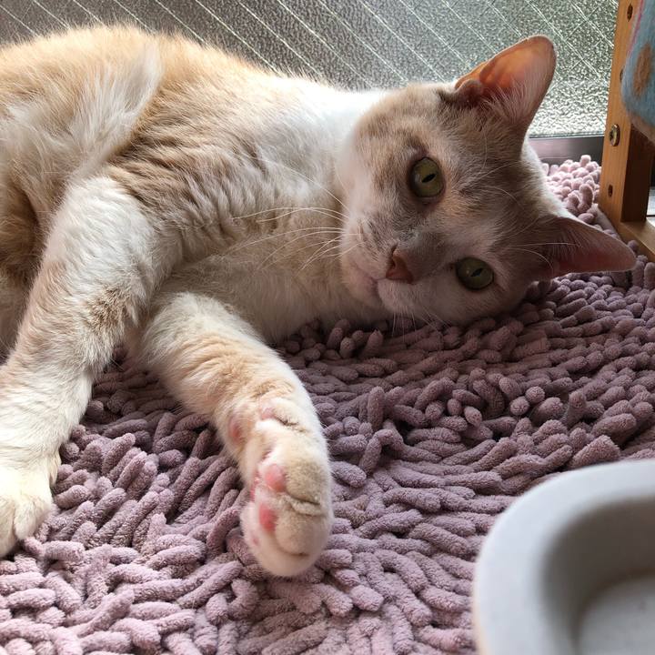 Ce2e9359 5e19 4f94 9faf 3a86e483e0df 1614386074129