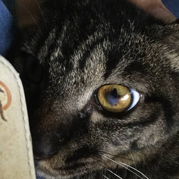 Ce2ec2a5 d2e7 4ba6 bd54 313c2a76067d 1596176677263