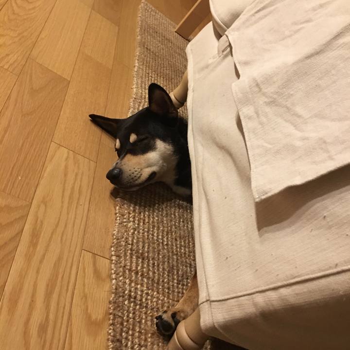 Ce2ec546 5fdb 4d7d ad42 6d1fab795582 1511746139669