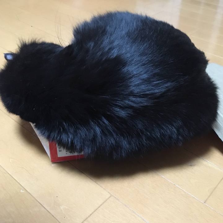 Ce2ec776 3415 4b73 8697 caddd6a44270 1514377329446