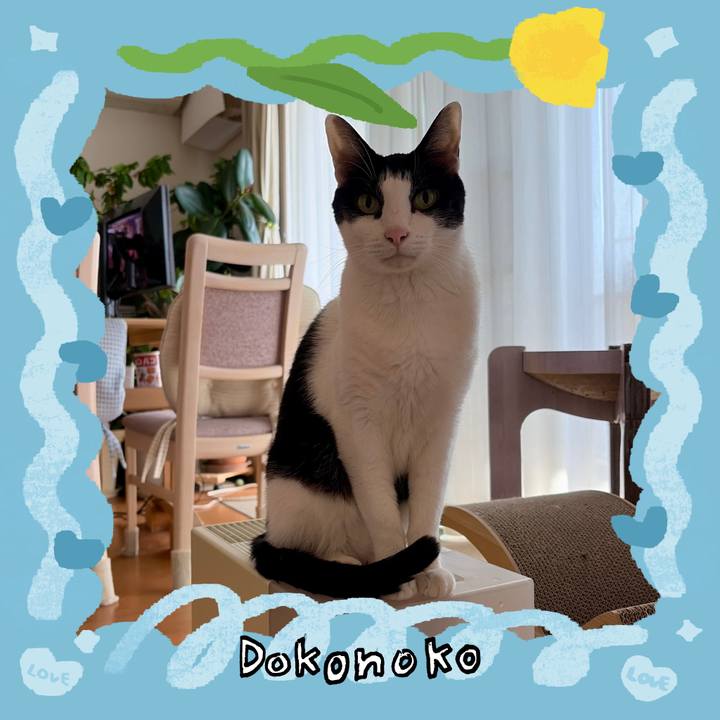 Ce2ee260 49a6 4de3 8b0a 38dcd31f9161 1772467637545