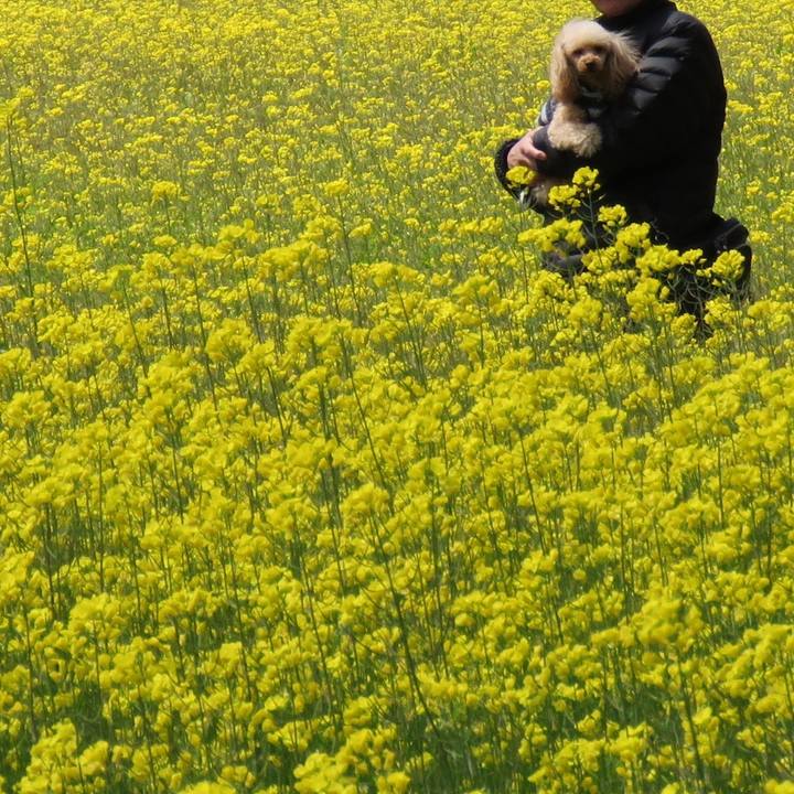 Ce2f0fcd e15e 4f53 bcf7 73f906db2837 1554029261289