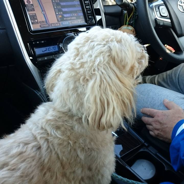 Ce2f1348 2ab6 4eec a161 0438bdba2955 1577496328110