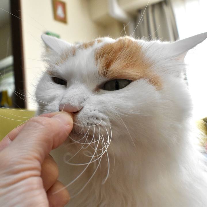 Ce2f1f0f 7978 4ab6 99f2 4bf4d13f8ba2 1762142959486