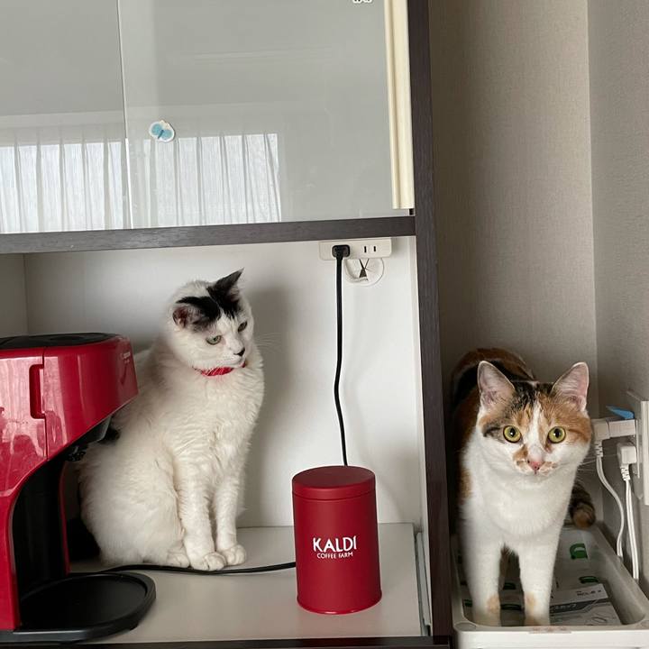 Ce2f31d7 213a 486a a60e f042fd20e343 1621469730831