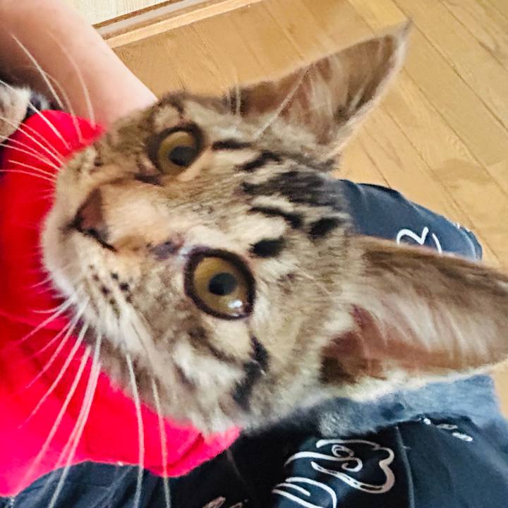 Ce2f53ca 02d7 478b 90dc 887f5172b684 1730091102308