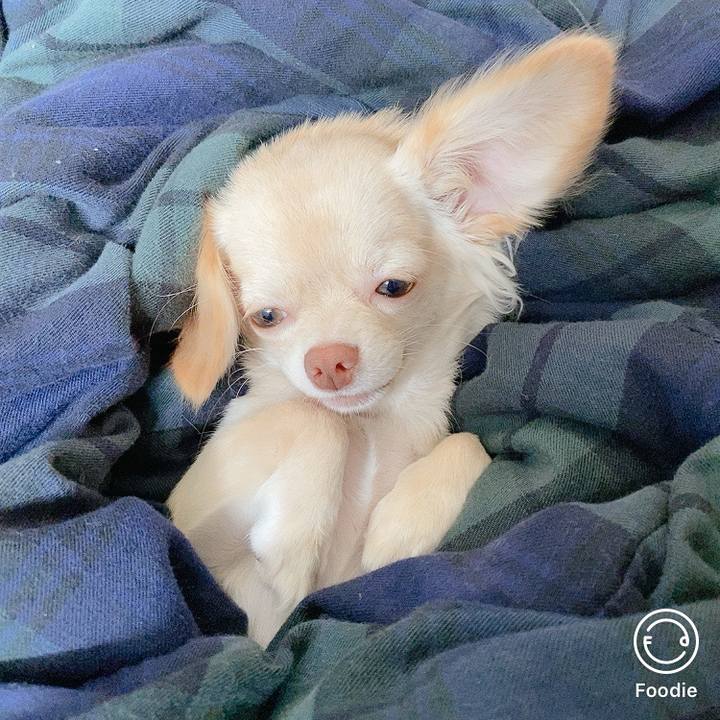 Ce2f55de 662c 4dd7 a857 d2a0d9a62c91 1598410943309