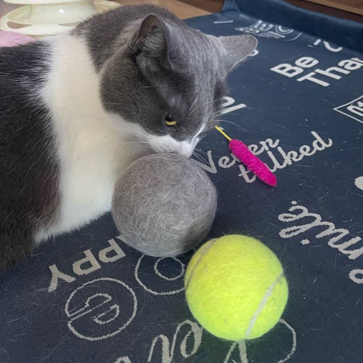 Ce2f5adc bc35 4c5e 83c2 beb9a35ed426 1720307129428