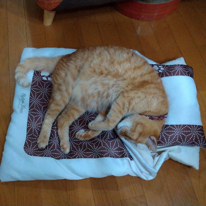 Ce2f6b88 e798 4dbe a75c dd97927a6e8f 1623213299833