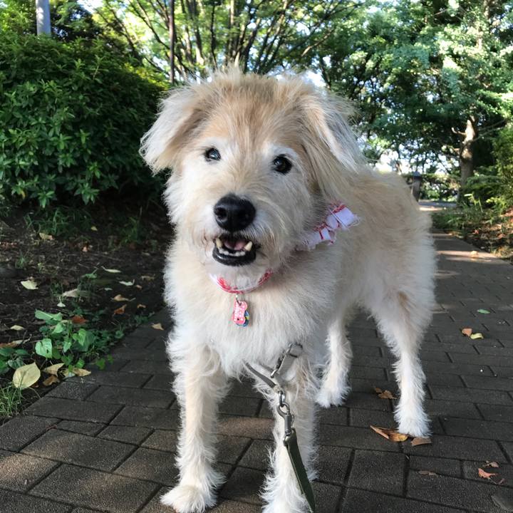 Ce2f8749 2f25 48f6 a8e7 5bcc61f1c230 1626402936641