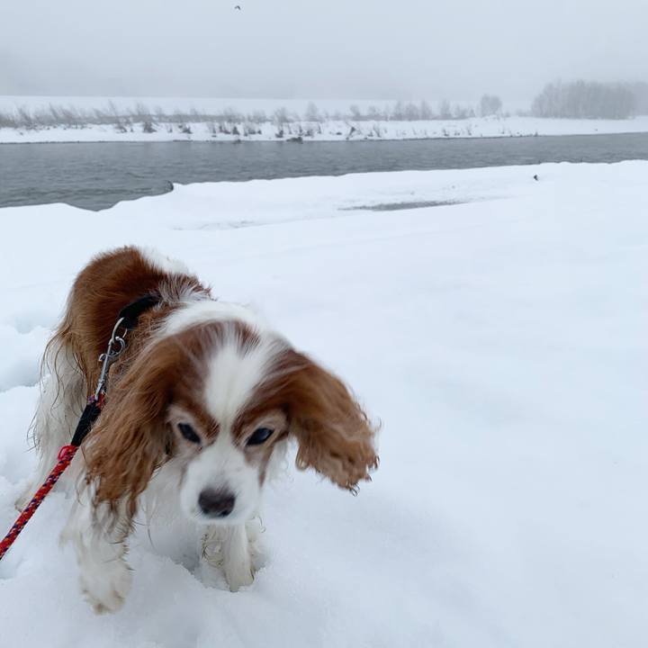 Ce2fb37a 65fc 45e3 bf09 c93aee09d152 1581632684057