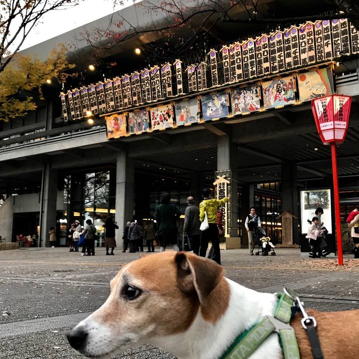 Ce301377 0832 46c3 be51 b83d34290af4 1511682928141