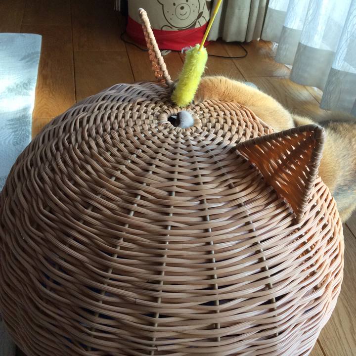 Ce302a34 ef61 47e5 982d 68ac6791875a 1580305454350