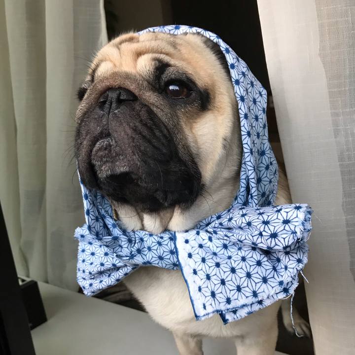 Ce303d48 e09b 49e2 b81a 930c7f31f92d 1596973172171