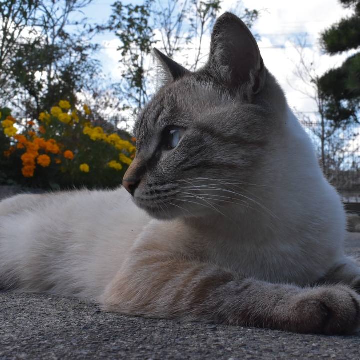 Ce304e4b 1673 4c04 9a5a 2e0fcf07db53 1540701667237