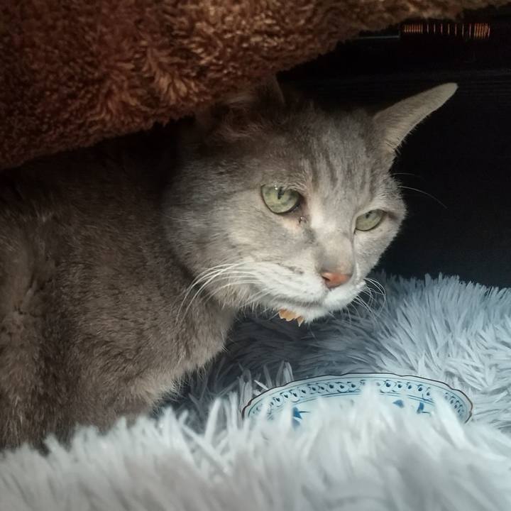 Ce305f52 0fb5 44f4 9b4b 16ec59e0e30e 1771384904556