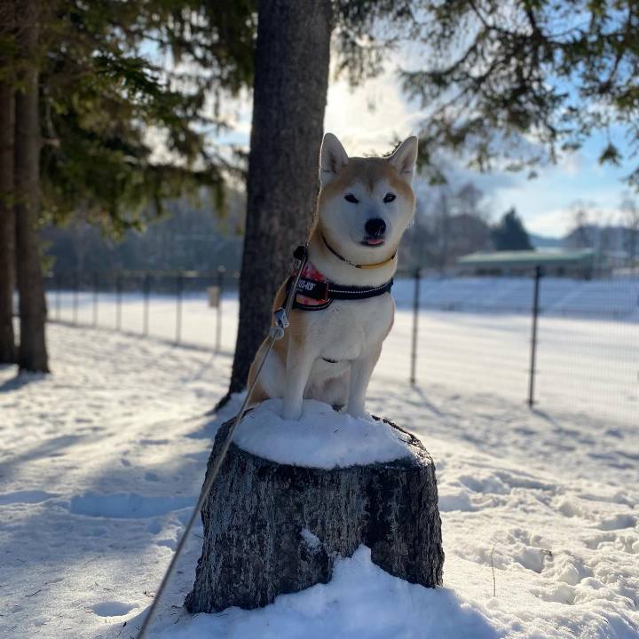 Ce306f60 680c 4b81 a817 61258c812e71 1705024623765