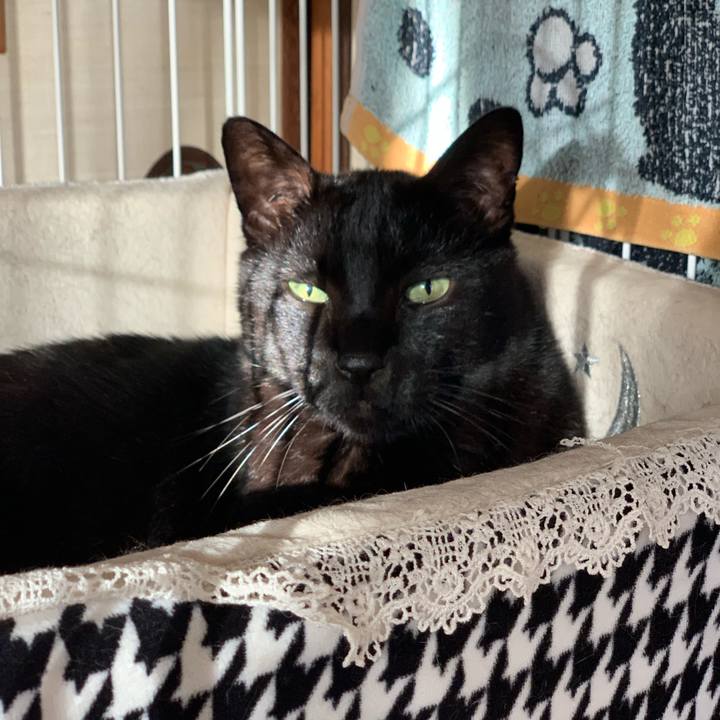 Ce309d03 53a8 49bf 8cac 7784c005be7f 1543454534866