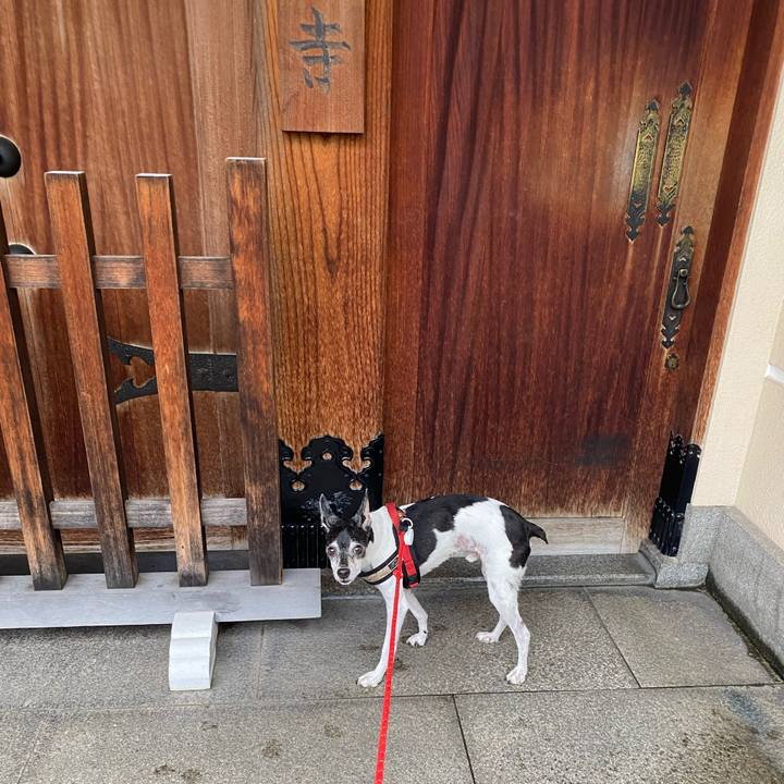 Ce30a074 ef40 45b2 ab85 0f60042aec1a 1631921677510