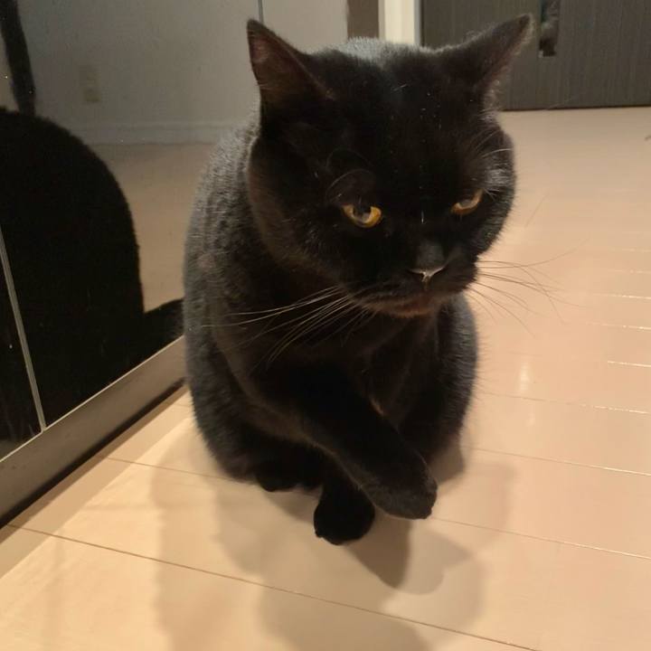 Ce30a077 482e 484e a4f8 578938f1d56e 1713092383013