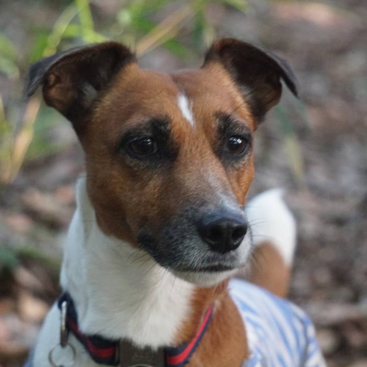 Ce30dd1d 8e44 4539 a5fb ad65b4ce8646 1526863898176