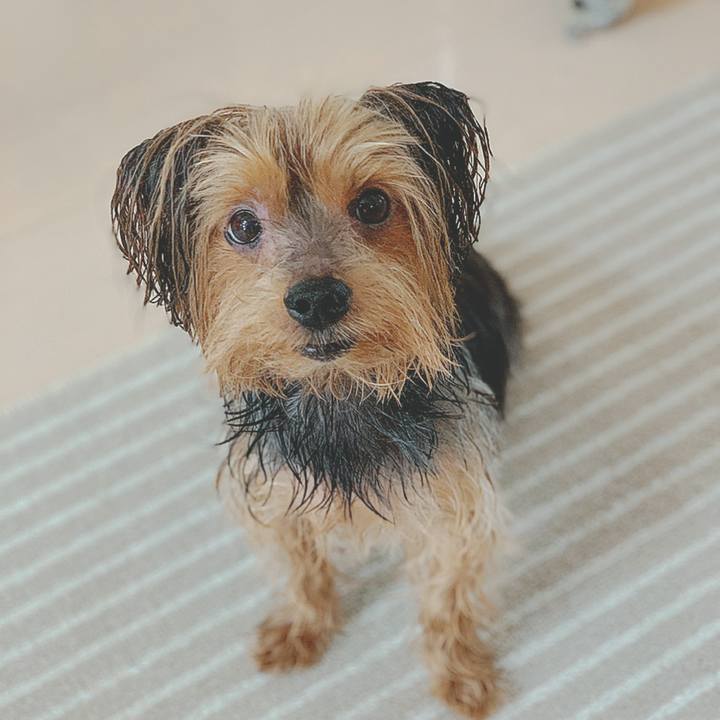 Ce30e0e2 3bbd 44bd b422 7bff8ee4d89d 1584078315704