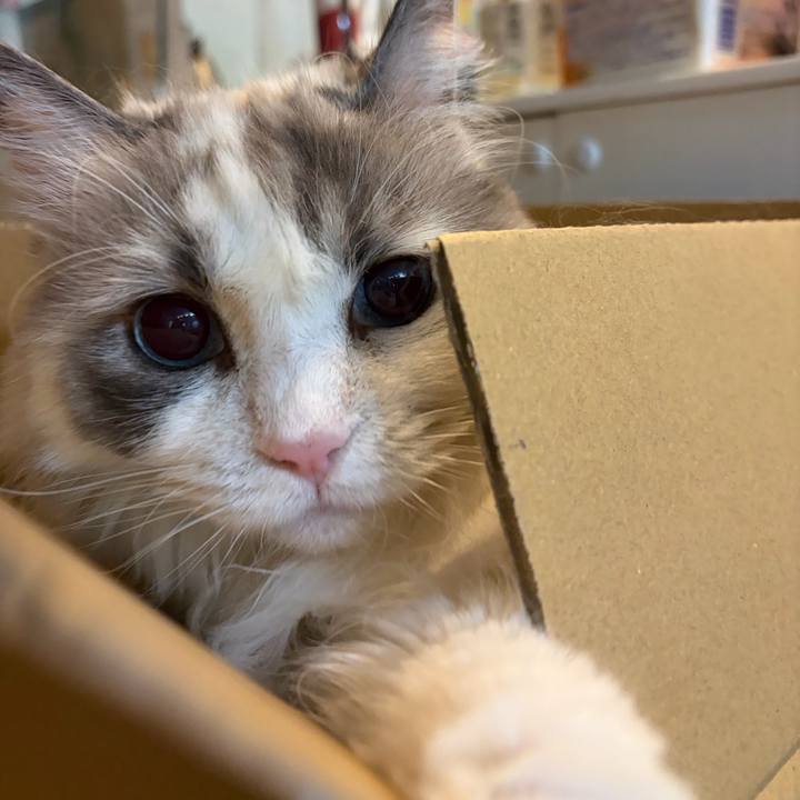 Ce30e880 1abc 4f63 a195 cf49b57782f7 1770523370914