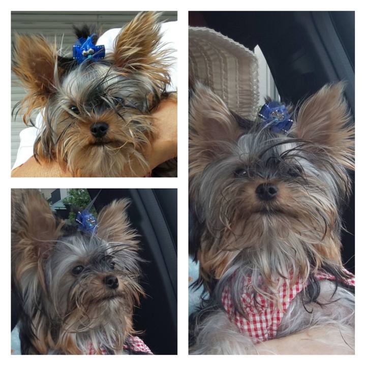 Ce31712a 0b69 4a53 a843 6463ec445b6a 1595491414347